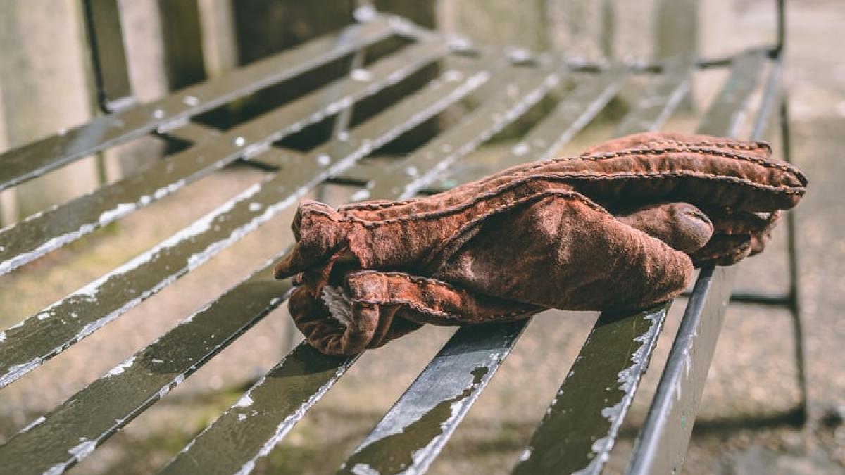 Visual showing a lone glove on a bench