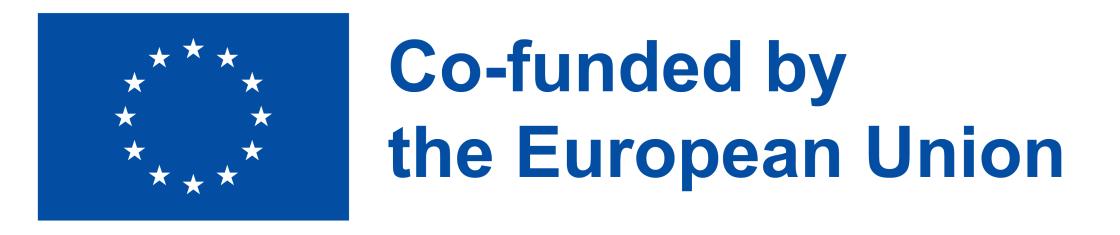 Picture of EU flag with text 'Co-funded by the European Union'