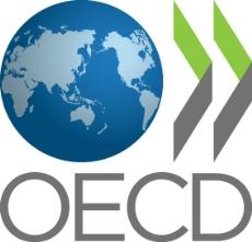 RTEmagicC_OECD_globe_10cm_03.jpg