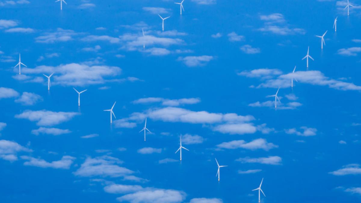 A wind farm in the North Sea 
