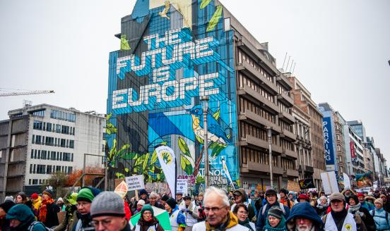 a picture of people protesting for climate in Brussels